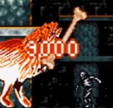 1580320143337