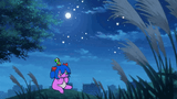 beary nice night