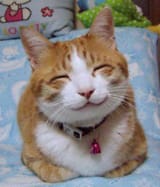 smileu