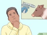 cow_euthanization_4