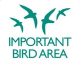 IBA