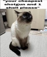 Thread 12392954 OP Image