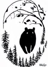 bear between conifers