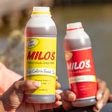 Milos-Tea-1024x1024