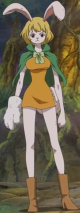CARROT