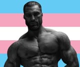 transman