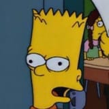 Thread 12394668 OP Image