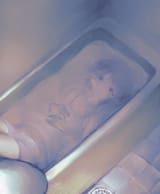 sample_4aa38c16df4b063355318bb96b97f726ac363f31