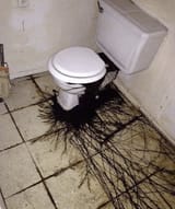 Thread 12397312 OP Image