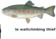 le wallclimbing thief