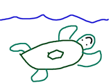sea turtle.skribbl