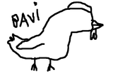 chicken.skribbl
