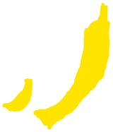 big banana