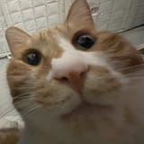 1749341290371941