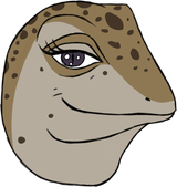 hi