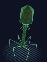 1907397_pinkmoth_on-his-way-to-find-some-bacteria