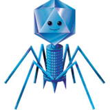kisspng-bacteriophage-biology-cell-art-virology-phage-therapy-5b1e00708e6ac0.0903402815286928485834