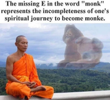 monk e