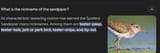 Thread 12406155 OP Image