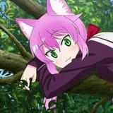 Thread 12429479 OP Image