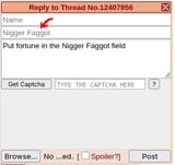 niggerfaggot_field