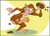 monkey_poo_for_you