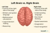 left-brain-vs-right-brain-7093257-1-8fd981cbd6f34f849b86e872ce0ec940