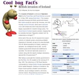 Cool bug brit