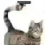 Thread 12412301 OP Image