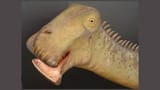 nigersaurus