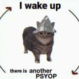 Thread 12413903 OP Image