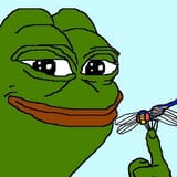 pepe dragonfly