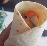 bavirito