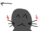 whiskers.skribbl