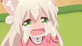 Thread 12416622 OP Image