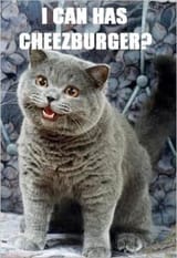 sub-jp-burger-2-popup