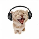 cat headphone