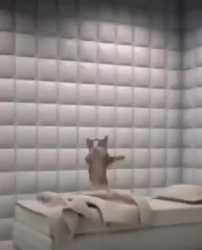 1751925049563879_thumb.jpg