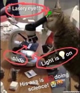 Cat-Science-100%-his-ass