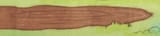 poo excremate