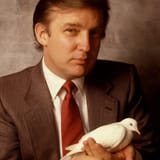 trump bavi
