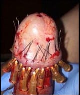 Thread 12424700 OP Image