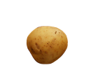 Irish Potato