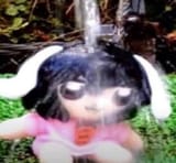 Thread 12426119 OP Image