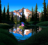 beary nice pond reflections