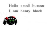 BearyblCk
