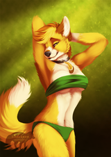 1491640196.silvixen_mara