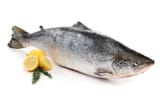 big-salmon-fish-isolated-24401734