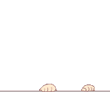 peekaboo