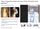 animeiscats